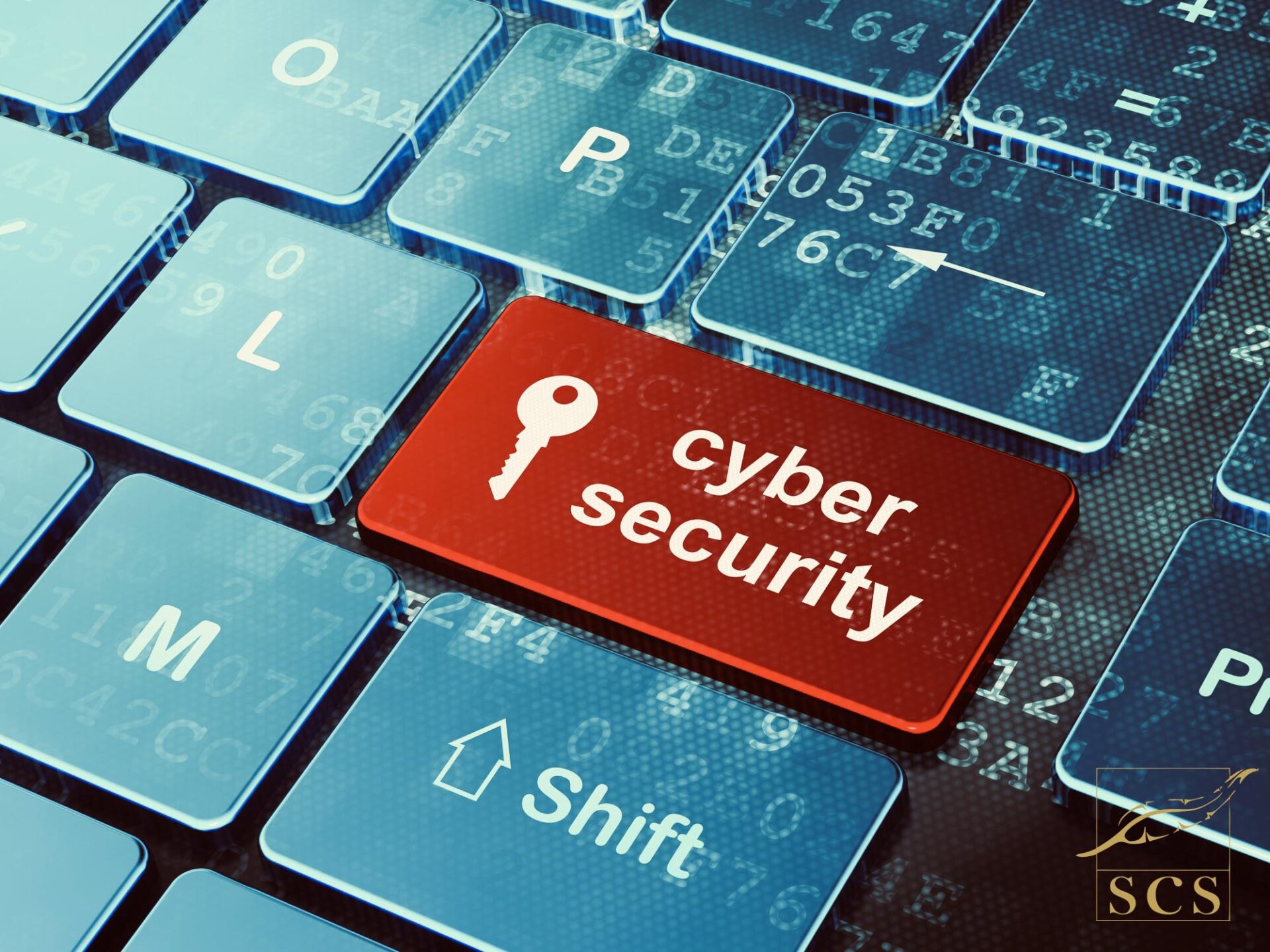 Skills That You Can Learn From Cyber Security Training